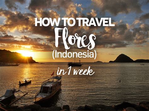 Keunggulan Flores Travel - Pelayanan Prima, Paket Wisata Terlengkap, Harga Terjangkau